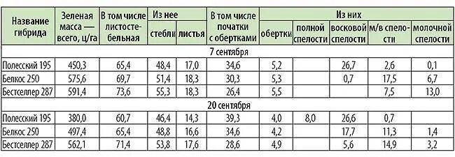 Максимальная урожайность кукурузы. Урожайность кукурузы на силос с 1 га. Средняя урожайность кукурузы на силос. Урожайность силоса кукурузного. Урожайность силоса кукурузы с 1 гектара.