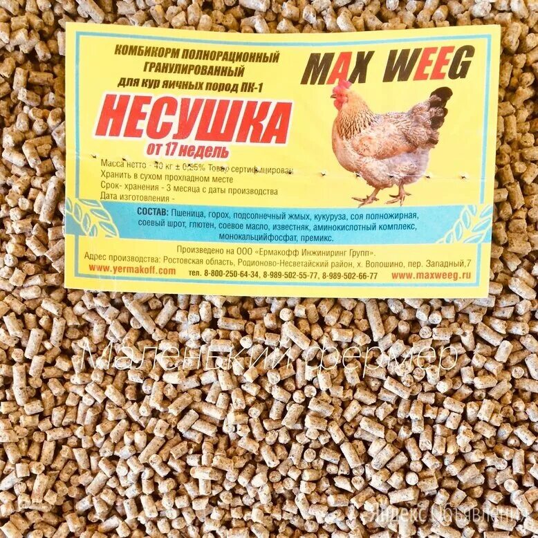 Комбикорм для молодняка кур. Кормосмесь для кур. Куры клюют. Куриная ферма. Комбикорм для кур.