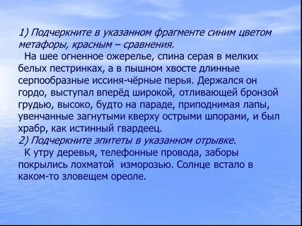 Укажите фрагмент