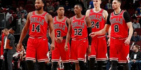 Фото bulls