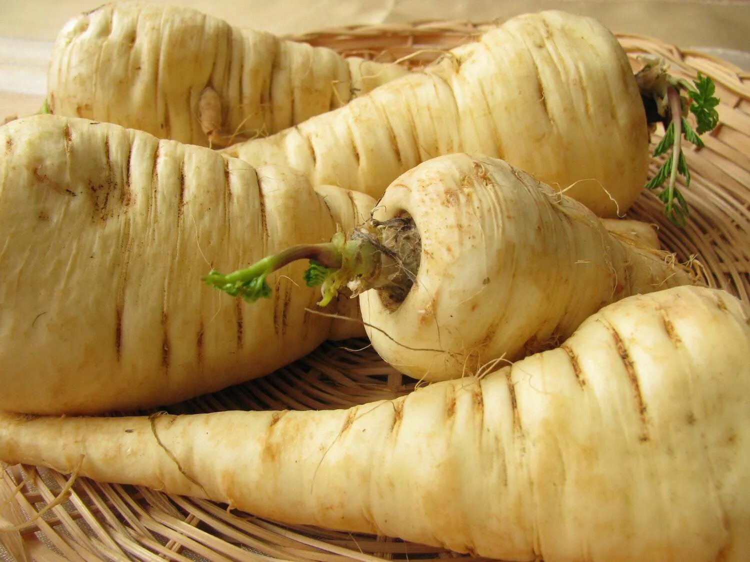 Белые коренья