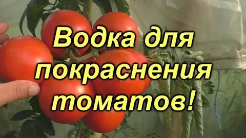 Как ускорить покраснение