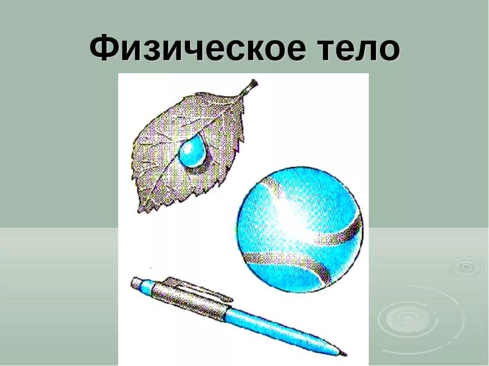Что такое физическое тело 7 класс. Физическое тело это предметы которые нас окружают. Физическое тело это в физике. Физ тело вещество физ явление. Физическое тело это в физике.