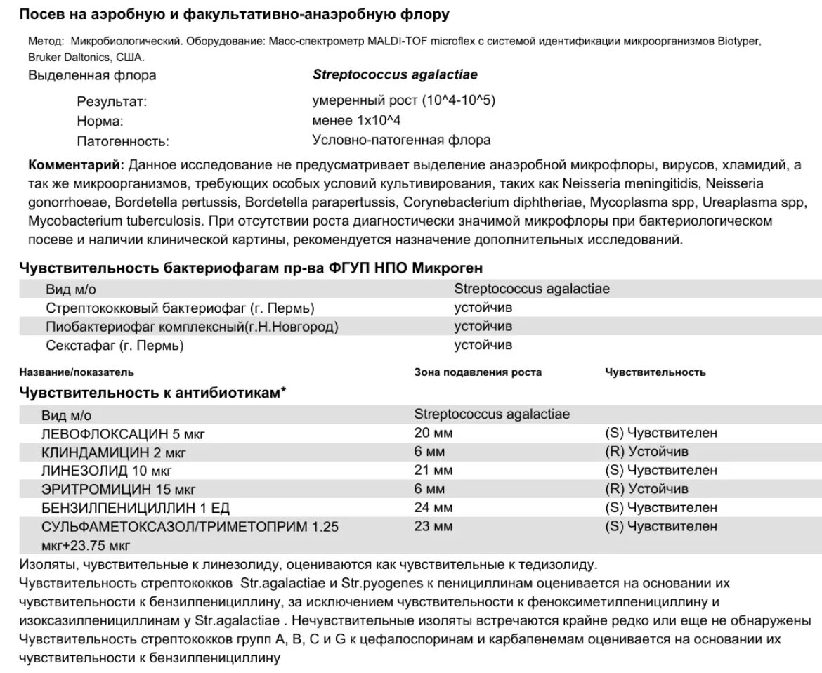 Streptococcus agalactiae чувствительность к антибиотикам. Стрептококк агалактия анализ. Streptococcus agalactiae в мазке у мужчин 10 в 4 степени. Streptococcus agalactiae 10 в 4 в моче при беременности.