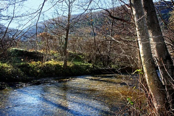 Реки крыма презентация. Как бельбек изменяется в разные времена года. Река бельбек смывы. Как бельбек изменяется в разные времена года. Список водных объектов крыма.