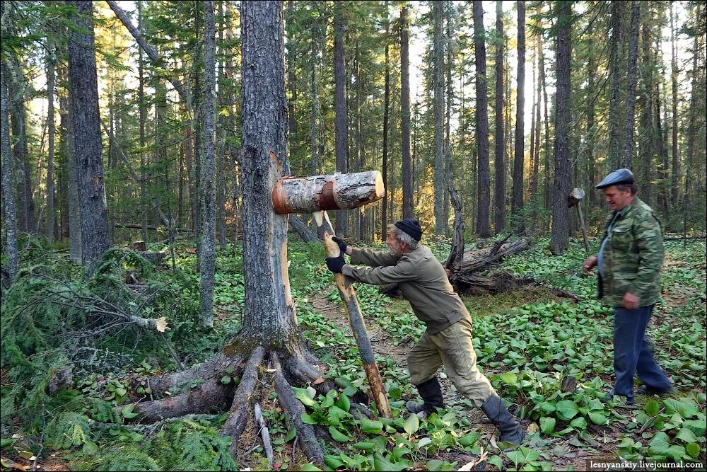 Собрать добычу