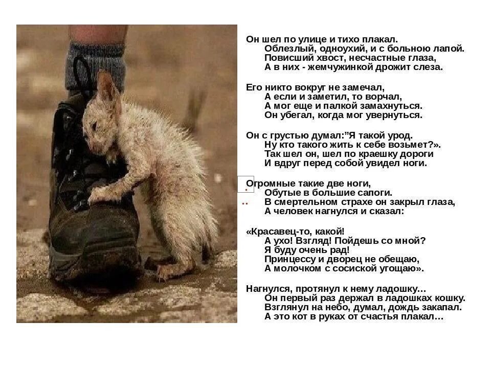Беззвучно кричать