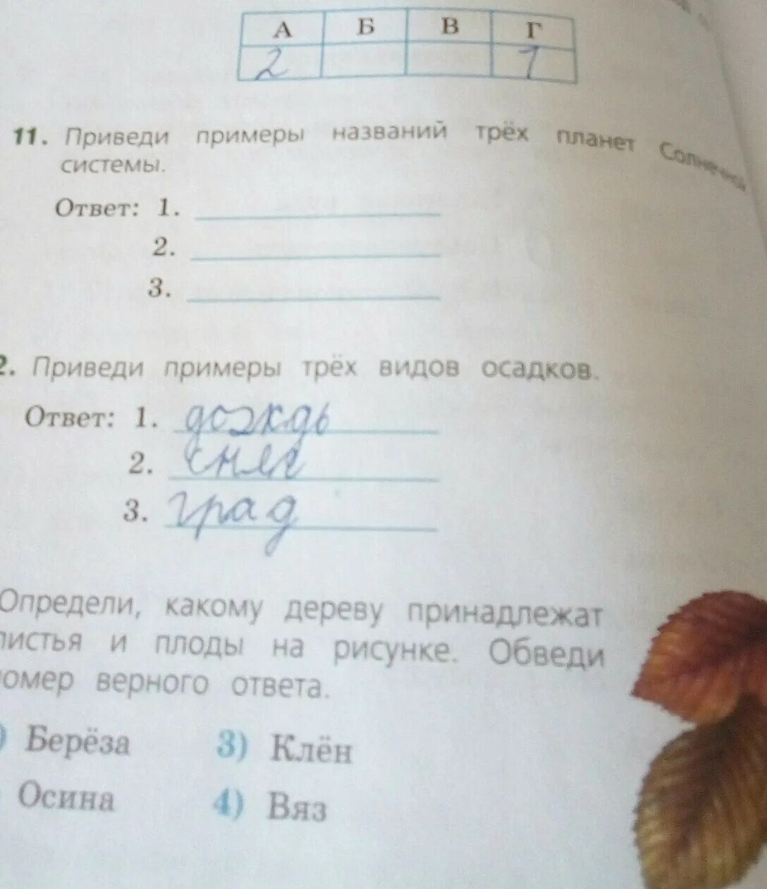 Выберите правильное слово и обведи номер ответа. Обведи номер верного ответа. Определи какому дереву принадлежат листья и плоды. Обведи номер слова в котором есть согласный звук д. Какие листья каким деревьям принадлежат.