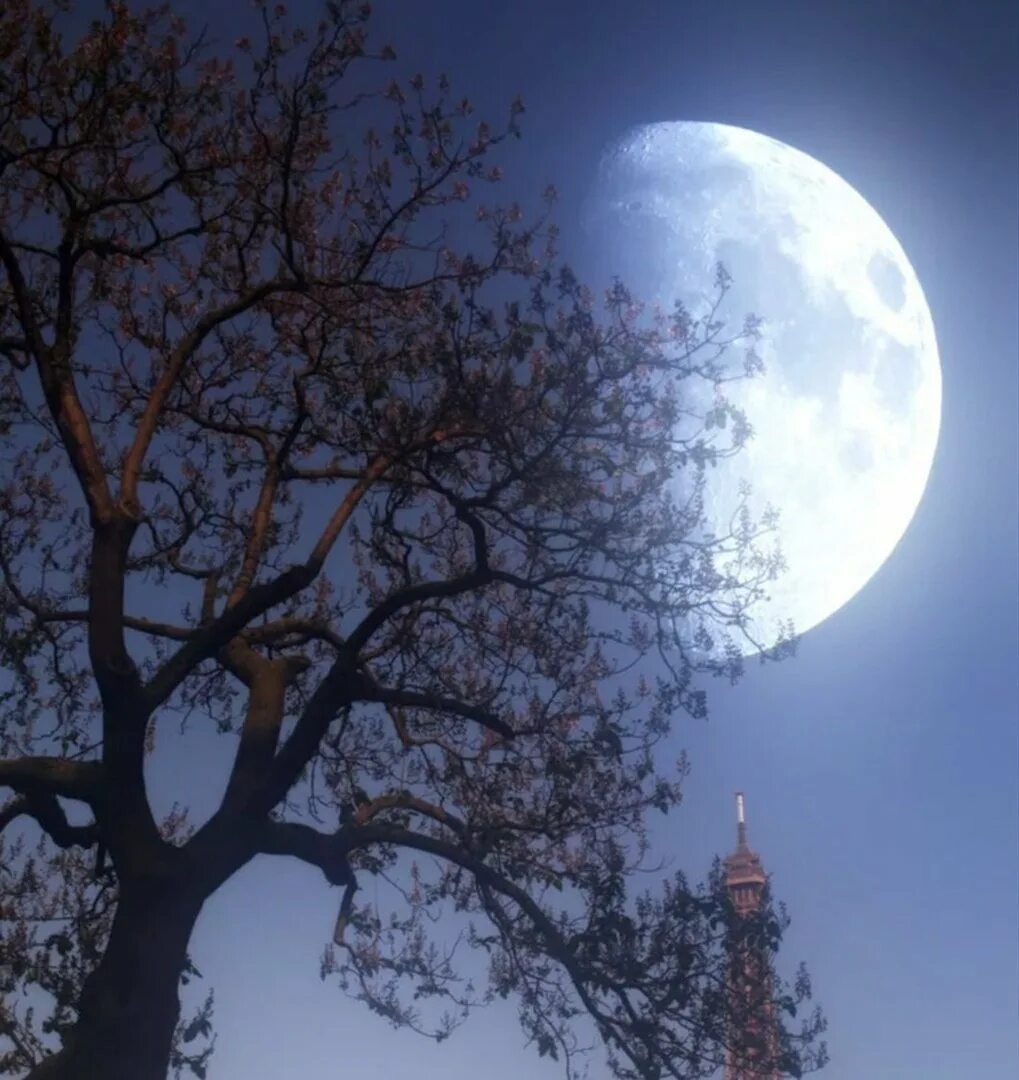 Луна. Красивая Луна. Фото Луны. Полнолуние. Лунный день 27 февраля 2024 года