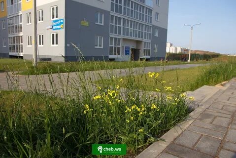 Индекс бульвар солнечный чебоксары