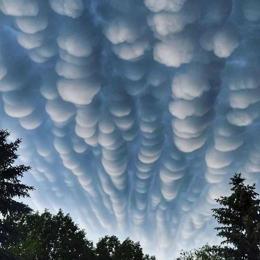 Через какое облако. Вымеобразные трубчатые облака. Мамматусы вымеобразные облака. Кучево дождевые вымеобразные. Вымеобразные облака (Mammatus cloud).