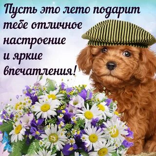 Поздравляю с хорошей новостью