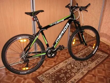 Merida matts champion