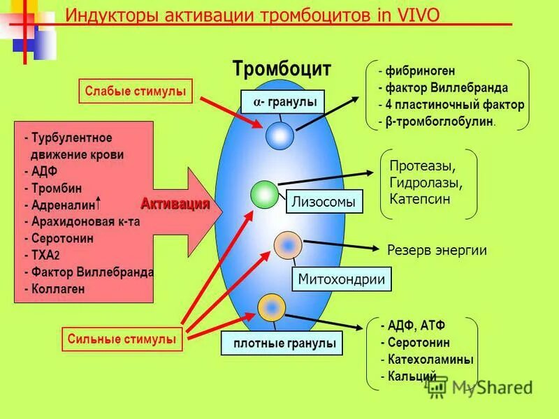 Энергия продуктов распада