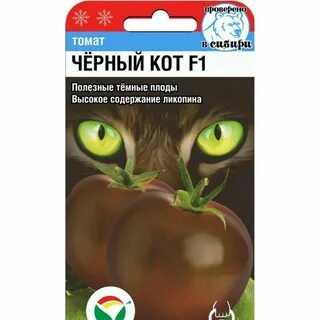 Томат черный кот отзывы