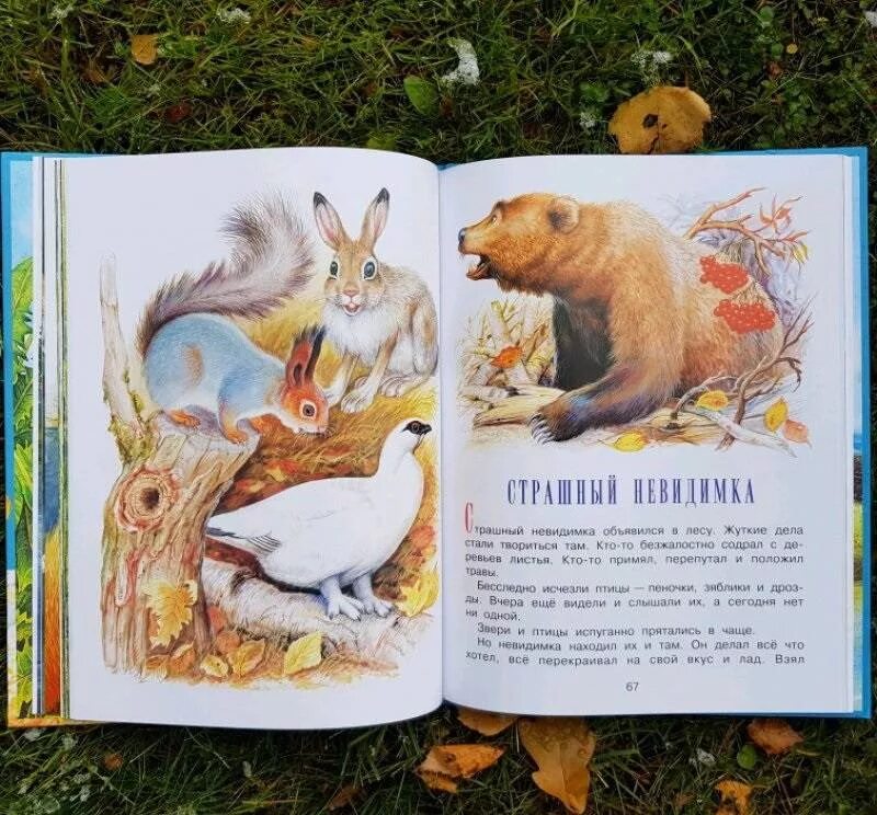 Сладков рассказы о животных. Сладков николай иванович бюро лесных услуг. бюро лесных услуг николай сладков. николай николай сладко бюро лесных услуг. сладков бюро лесных услуг иллюстрации.