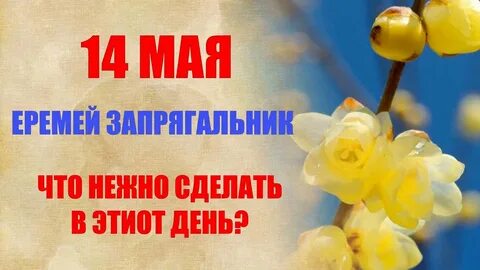 Какой праздник будет 14 мая 2024