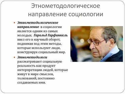 Этнометодология