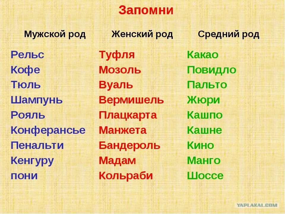 Про какой род. Определить род существительных исключения. слова мужского рода. слова женского рода. тюль род мужской или женский.