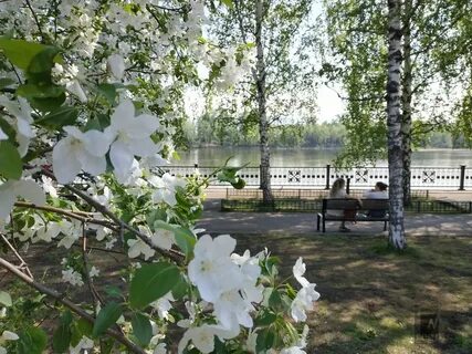 Красноярск в мае