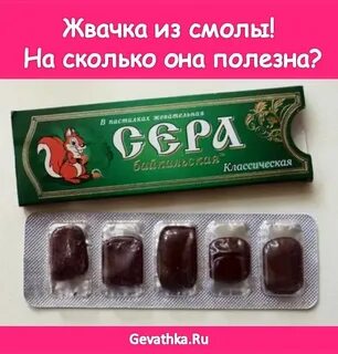 Сера смолка