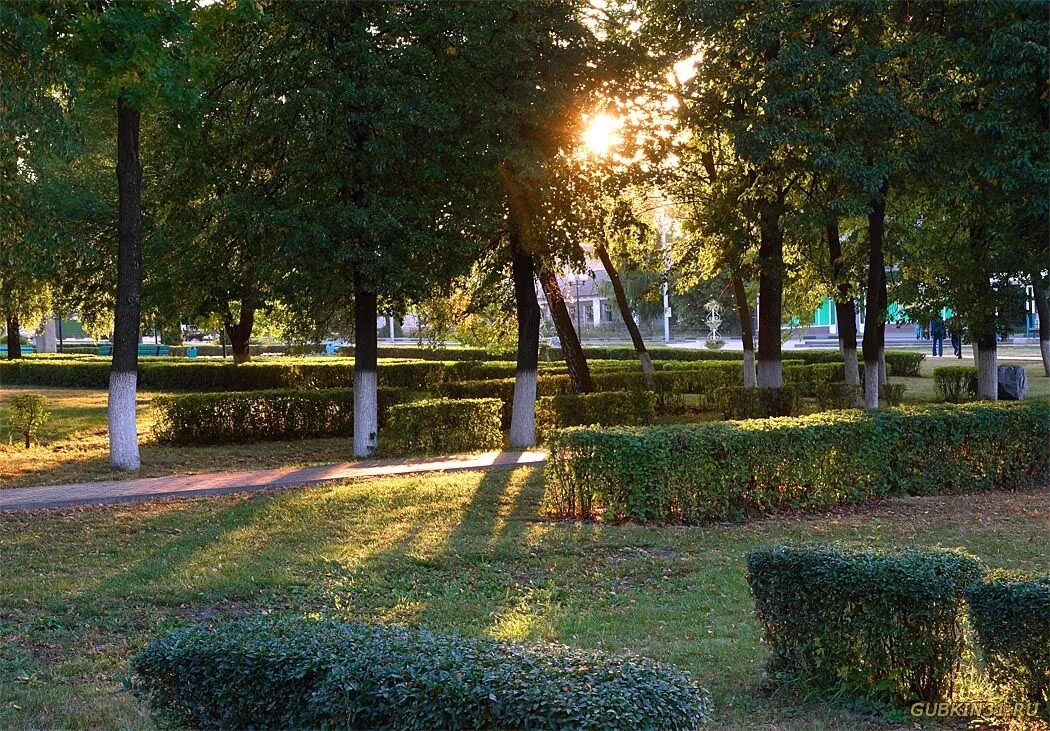 парк города губкин. парк губкина. город губкин старый парк. центральный парк губкин. парк детства губкин.