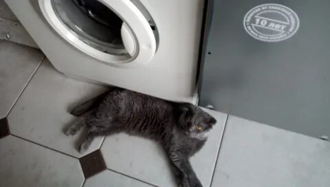 Описаюсь