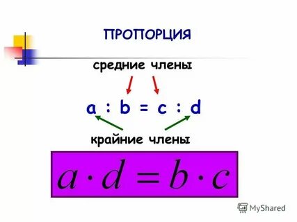 Пропорция тема по математике 6