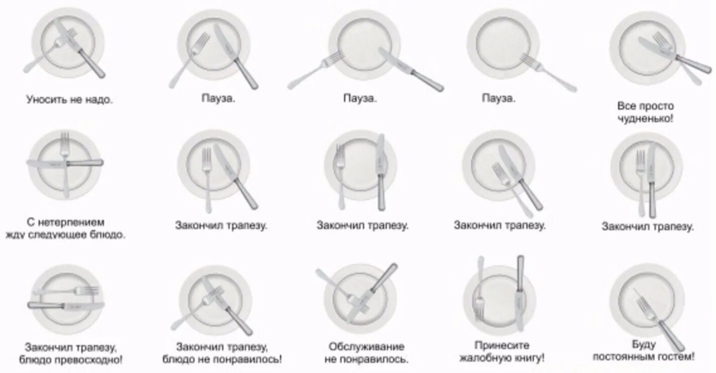 Столовый этикет расположение приборов на тарелке. Расположение столовых приборов после еды этикет после еды. Расположение приборов по этикету столовых на тарелке. Этикет положение приборов на тарелке после еды.