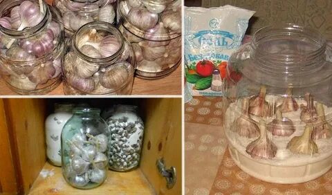 Как хранить чеснок зимой дома