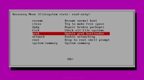 Grub update