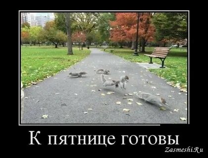 Видео пятницу с работы