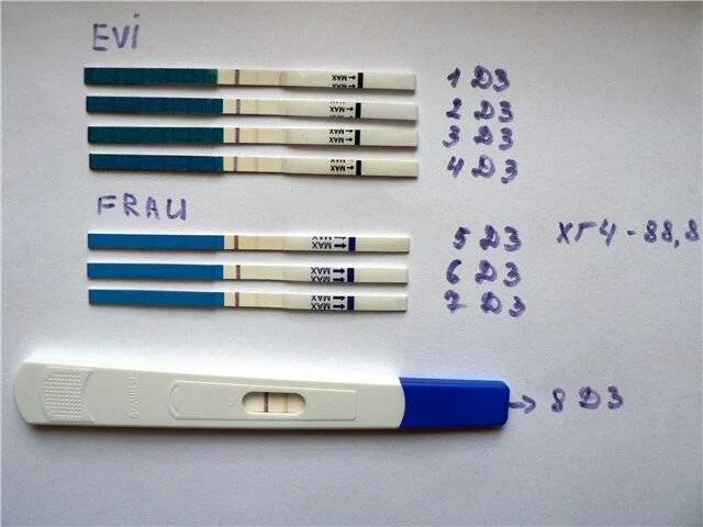 На какой день задержки нужно. Тест на беременность 1 и на 2 день задержки. Тест на беременность на 4 день задержки показывает беременность. Тест на беременность 1 день до задержки. Тесты на беременность за 3 дня до задержки месячных.