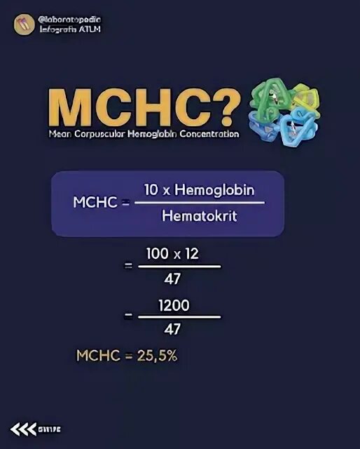 Mch mchc. Mch mchc