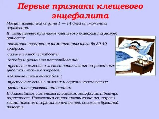 Симптомы энцефалита у человека. Клещевой энцефалит симптомы у детей. клинические проявления клещевого энцефалита. основные клинические симптомы клещевого энцефалита. симптомы клещевого энцефалита у человека.