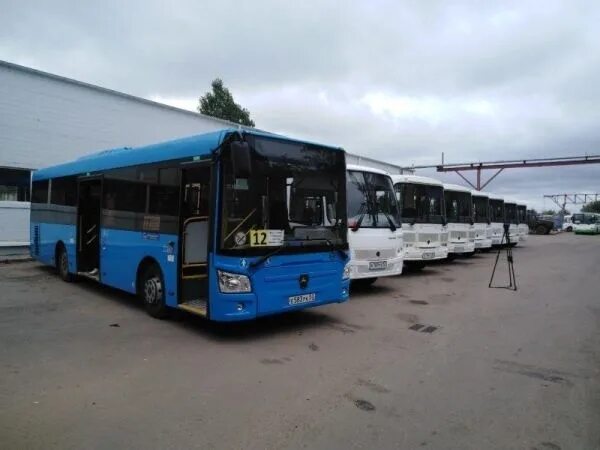 ПАТП 2 обслуживание 35 автобус. Пригородные перевозки автобусами