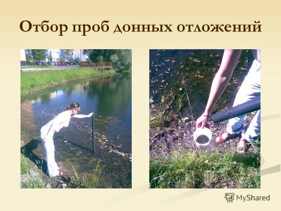 пробоотборник бикера для донных отложений. пробоотборник для донных отложений пдо-500. отбор проб донных отложений. отбор проб донных отложений. пробоотборник для отбора проб донных отложений.