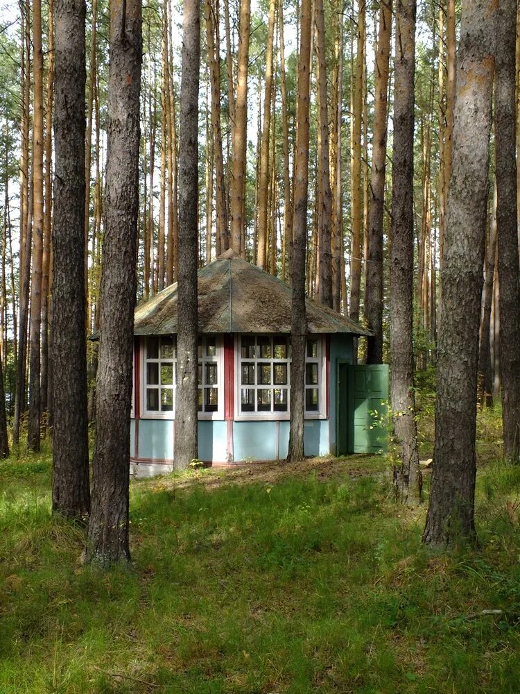 Зол юность свердловская область. Лагерь юность сысерть. Юность свердловская область. Юность свердловская область. Лагерь юность сысерть.