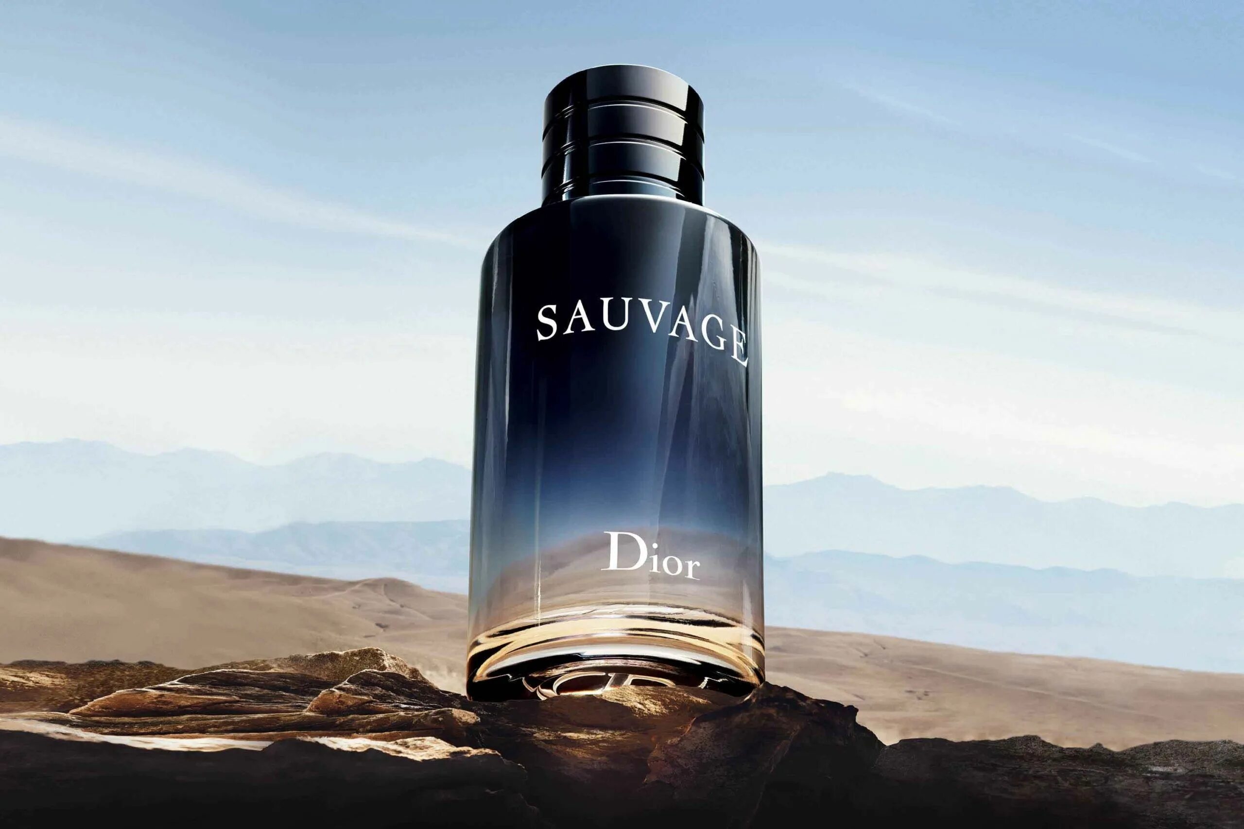 Туалетная вода саваж диор мужские. Christian Dior sauvage Eau de Toilette 100ml. Christian Dior sauvage Parfum 100 мл. Dior sauvage EDP. Christian Dior sauvage Parfum 200 ml.