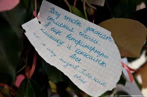 Загадать желание дереву
