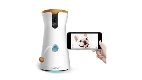 Dog webcams