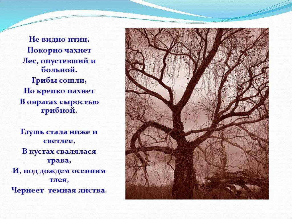 Бунин стих птица. Не видно птиц покорно чахнет. Не видно птиц покорно чахнет Бунин. Видно птиц покорно чахнет". Не видно птиц покорно чахнет лес опустевший и больной.