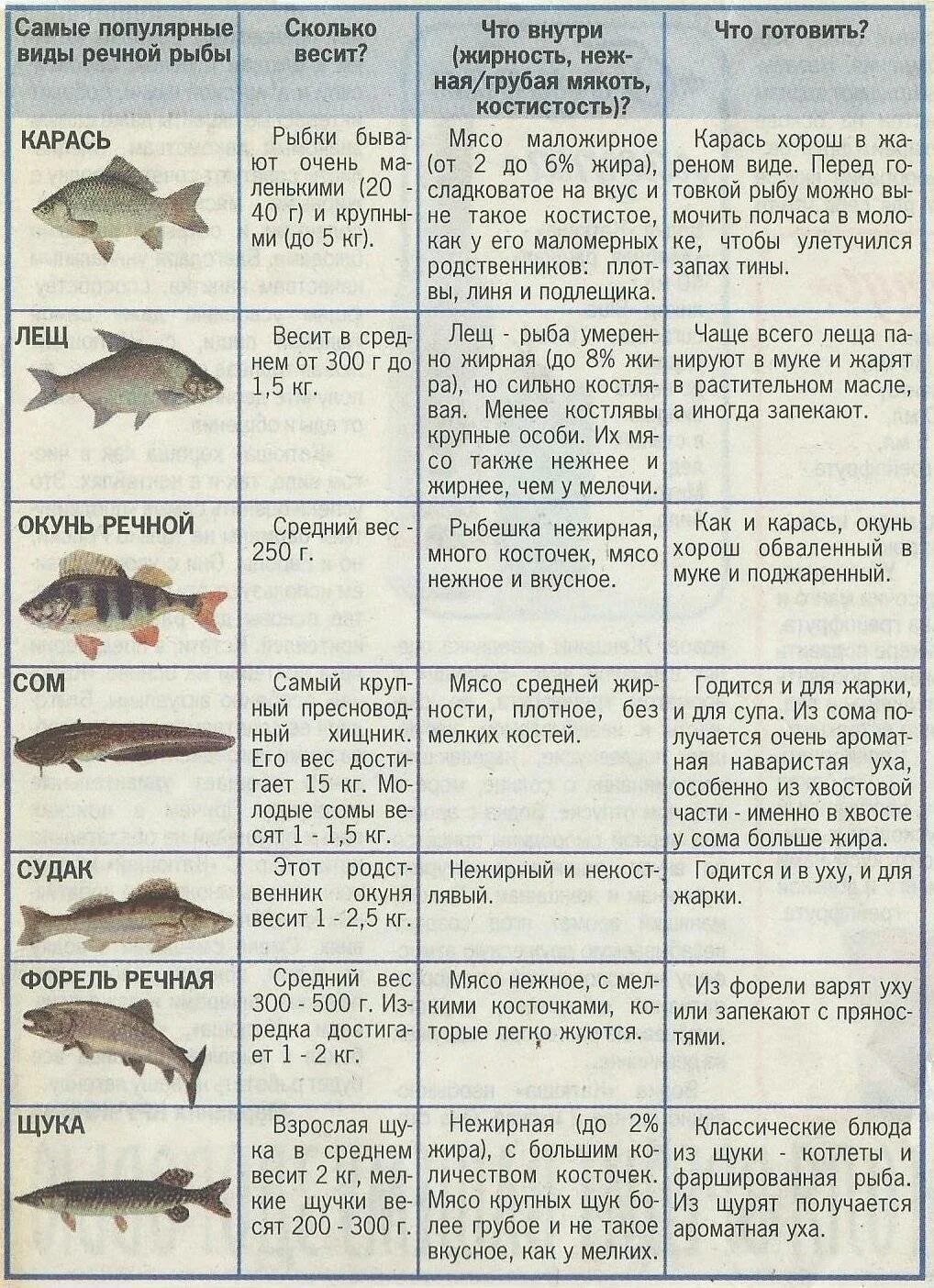 Не жирные сориютв рыбы. Нежирные сорта рыбы. Полезная нежирная рыба. Нежирные сорта рыбы список.