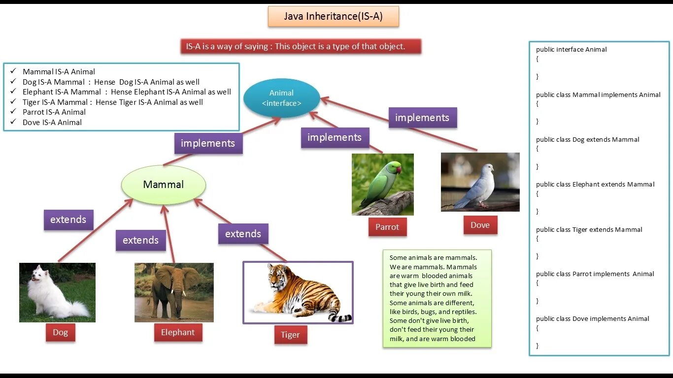 Extends java. Inheritance in java. Extends implements java. Имплементировать класс в java. Implements java