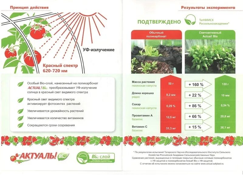 Поликарбонат сотовый 4мм Актуаль био. Сотовый поликарбонат Актуаль. Сотовый поликарбонат Актуаль био. Сотовый поликарбонат прозрачный Актуаль био. Поликарбонат актуаль био 4 мм