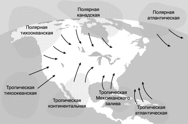 Ветры на территории россии. Морские и континентальные воздушные массы. Континентальные воздушные массы. Воздушные массы Северной Америки на карте. Движение воздушных масс.