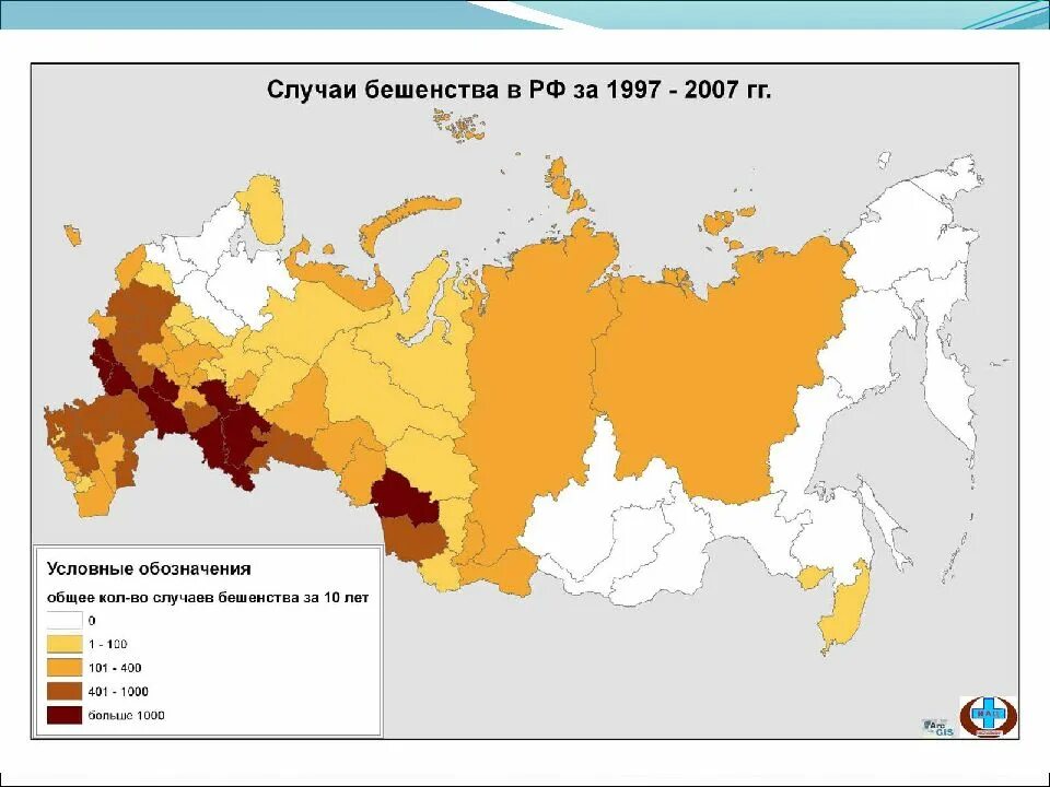 Сколько людей умерло от бешенства. Карта бешенства в России. Заболеваемость бешенством в мире. Распространенность бешенства. Распространение бешенства в мире.