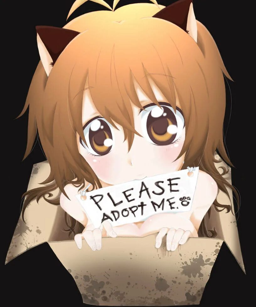 Please adopt