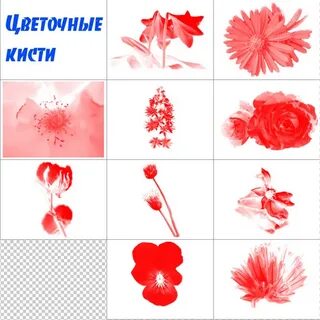 Цветы нарисованные кистью