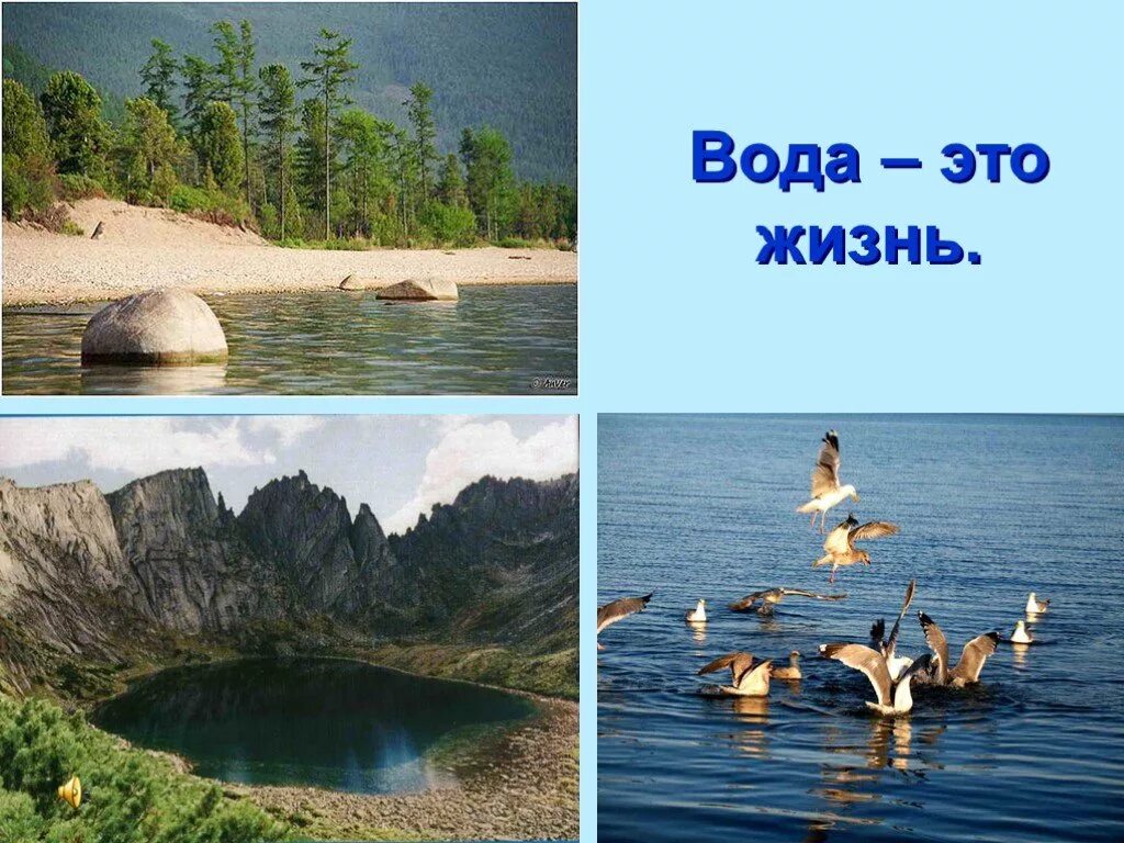 Вода это жизнь. Какова роль океанов в нашей жизни. Роль океанов морей и рек в нашей жизни. Роль рек,озер,морей в жизни человека. Роль рек и озер